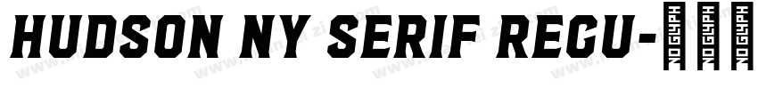 Hudson NY Serif Regu字体转换